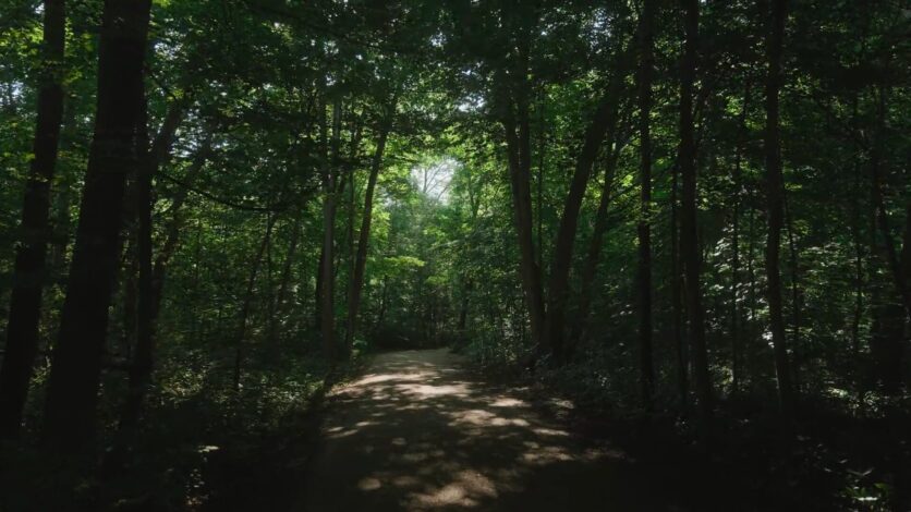 A shaded trail through the woods at Bronte Creek Provincial Park