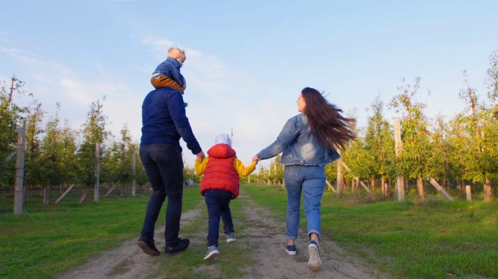 A family walking hand in hand along a path through an orchard